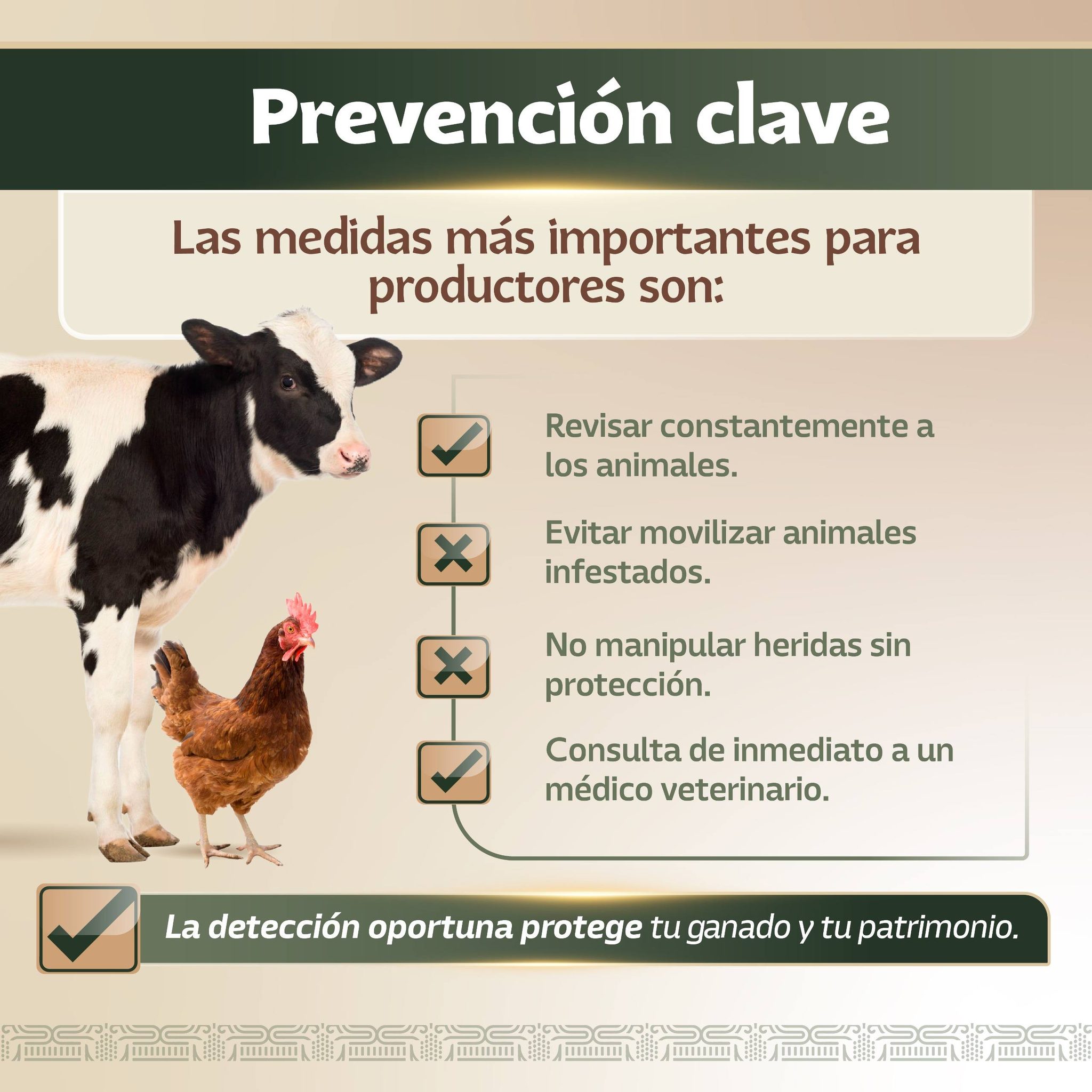 Infografía 1