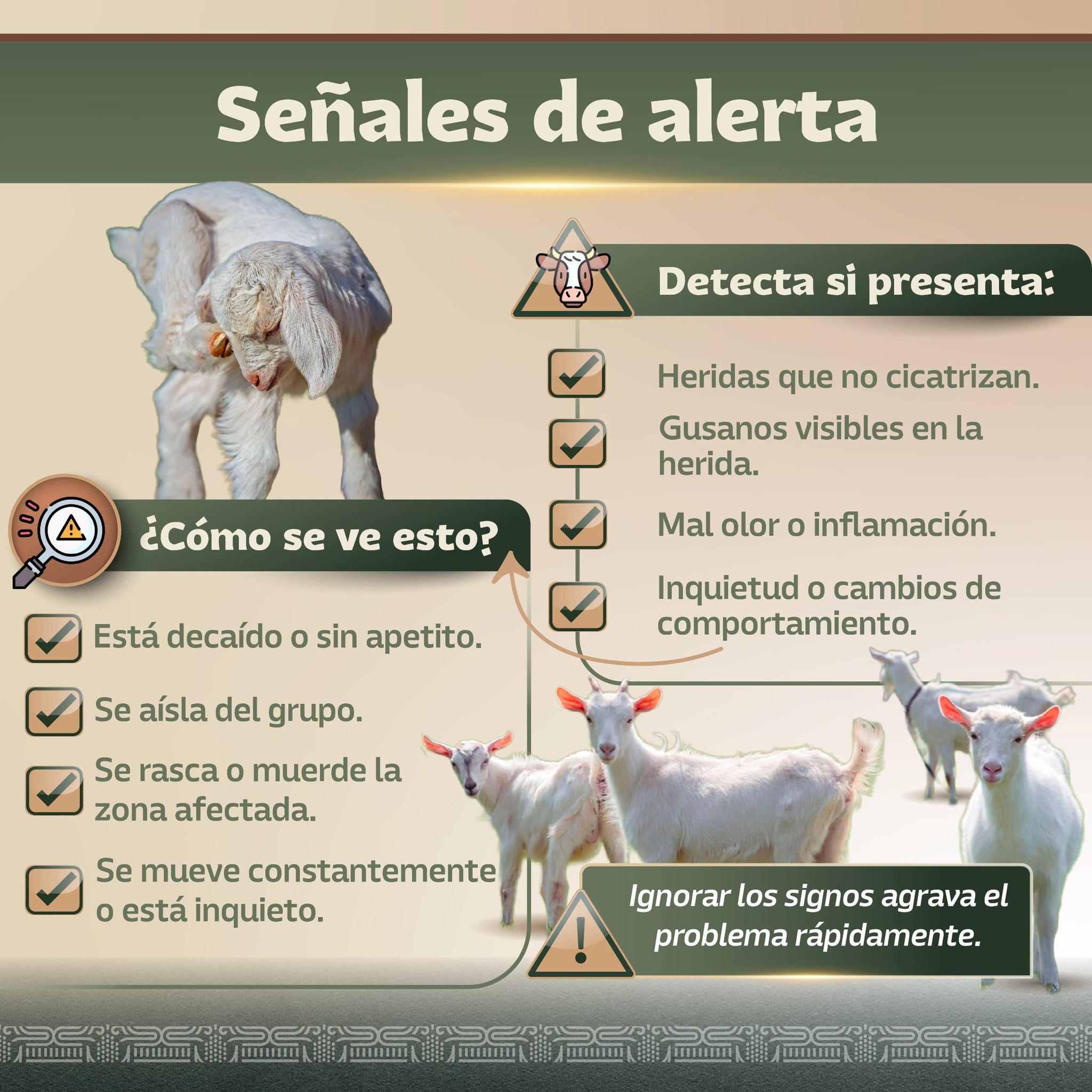 Infografía 2
