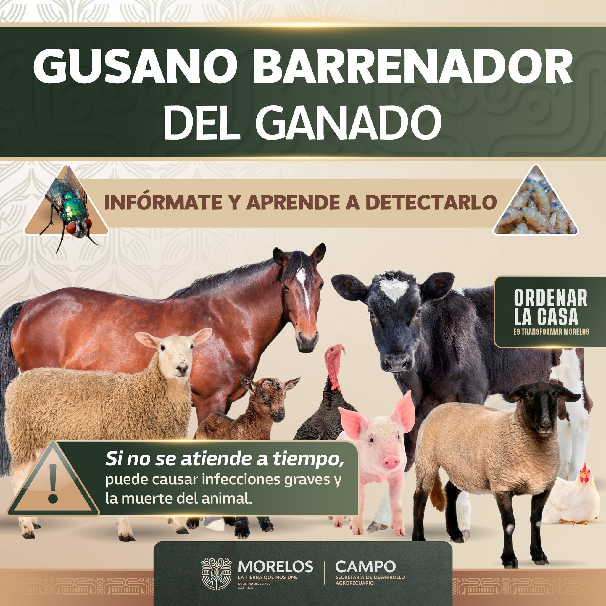 Infografía 3