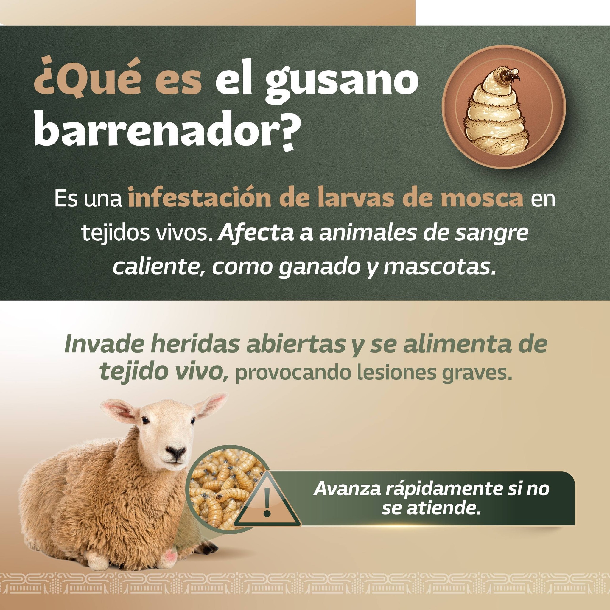 Infografía 5