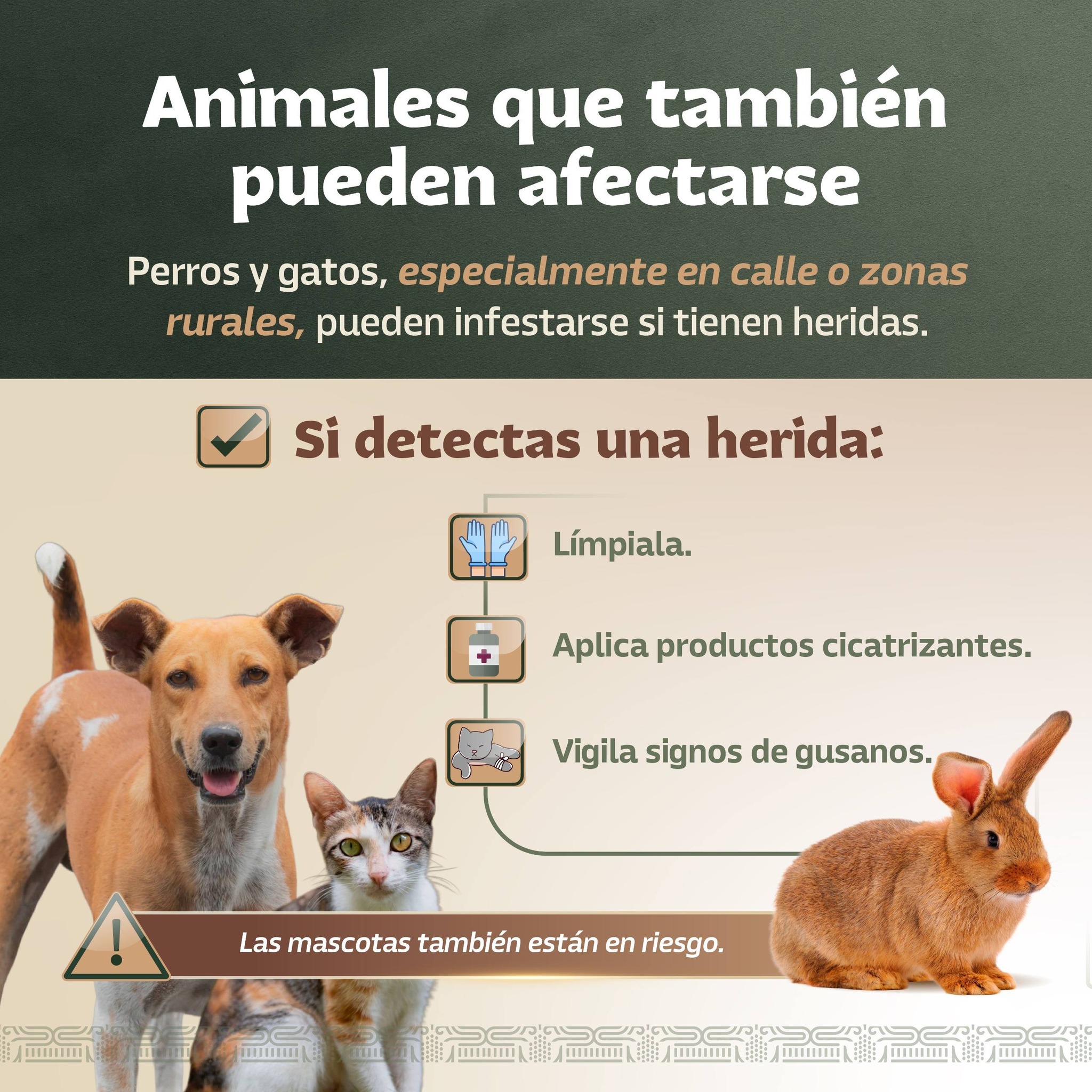 Infografía 6