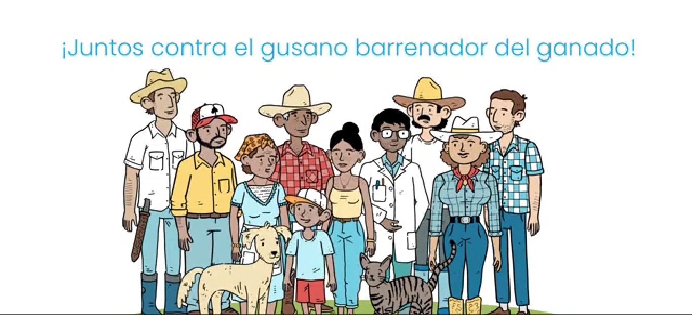Mosca del Gusano Barrenador del Ganado